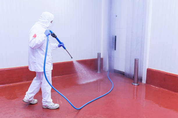 Best Sidewalk and Walkway Cleaning  in Nicollet, MN